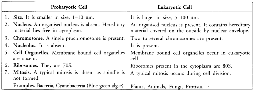 tiwari academy class 9 science chapter-5-the-fundamental-unit-of-life-22